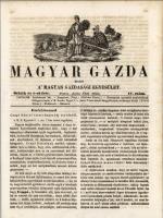 Magyar Gazda